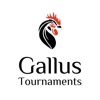 Gallus Tournaments