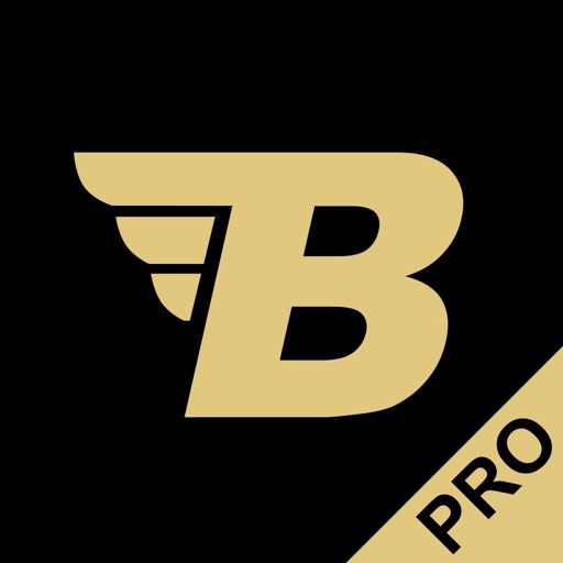 BM.pro