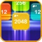 Icon Merge Block Puzzle 2048 Shoot