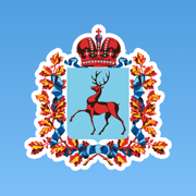 Дневник Нижегородской области