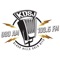 Black Hills Gold Hits-KDSJ 980 AM/103