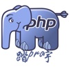 php$ - programming language