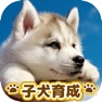 Get dog puppy breeding game for iOS, iPhone, iPad Aso Report