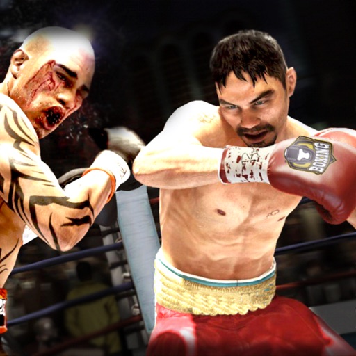 Boxing Fight Night Champion