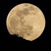 Moon Phases Calendar App