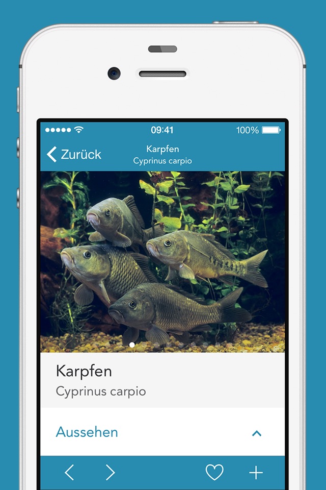 Fishes PRO - Field Guide screenshot 3