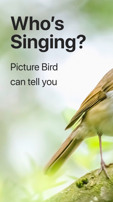 Picture Bird: Birds Identifier Screenshot