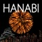 Icon Realistic fireworks  -HANABI-