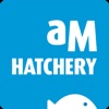 AquaHatchery