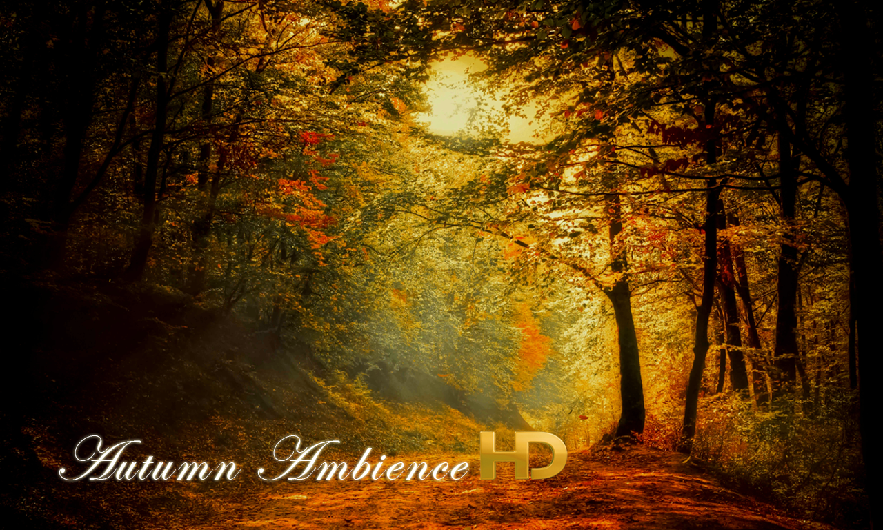 Autumn Ambience HD