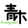 Evergreen 青木