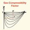 Icon Gas Compressibility Factor Z