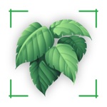 PlantTip Plant identification
