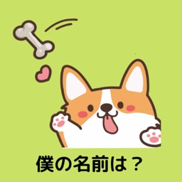 犬好きクイズ