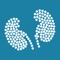 Scientific Conference app for the Nordic Society of Nephrology Congress