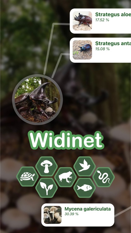 Widinet - Animal & Plant ID