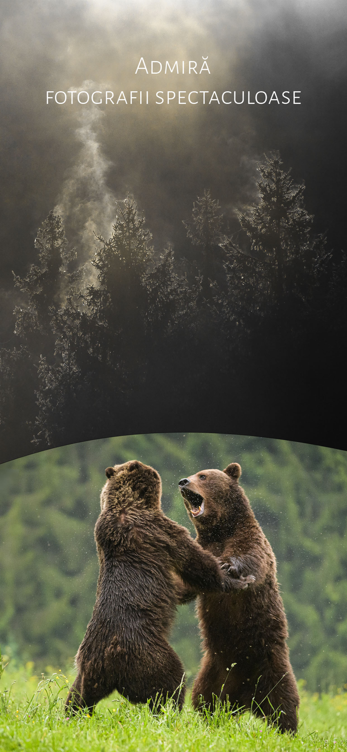 România Sălbatică