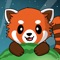 Icon Pit the Red Panda