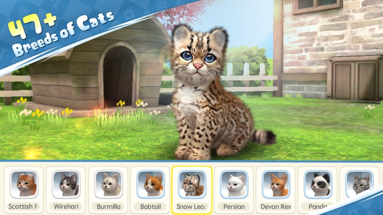 My Cat:Cute Kitten Simulator