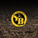 BSCYB Video Analysis