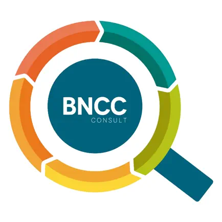 BNCC Consult Читы
