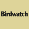 Birdwatch Magazine - Warners Group Publications PLC