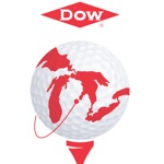 Dow GLBI