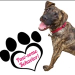 Pawsome Behavior Dog Training
