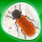 Icon Animals 360 - Insecta
