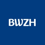 BWZH Инвестор