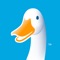 Access your Aflac account 24/7 with MyAflac®