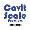 Cavit Scale - Cavit Artanlar