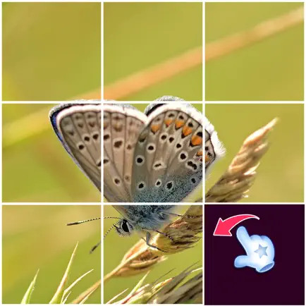 Slide Picture : Jigsaw Puzzle Читы