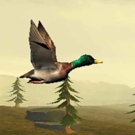 Wild Duck Hunter iOS App