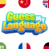 Guess My Language| 2-6 players