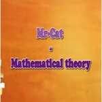 Mr·Cat -Mathematical theory
