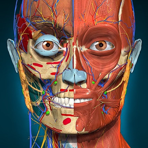 AnatomyLearning com.3dmedicalou.anatomylearningapp app icon
