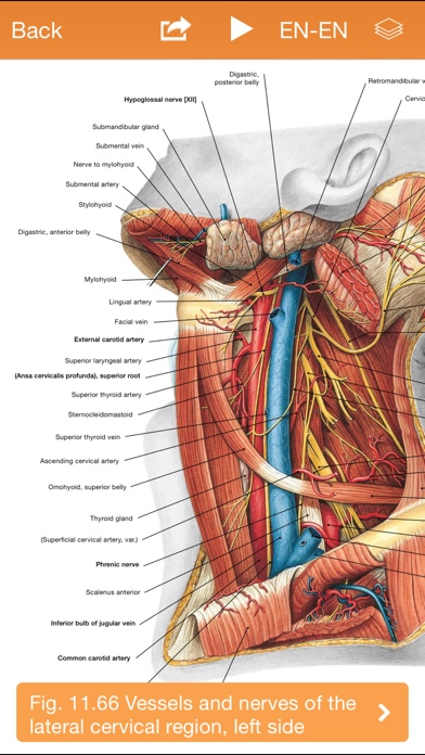 Sobotta Anatomyのおすすめ画像4