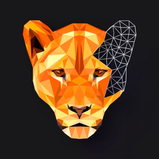 Polygon : Poly Art Por Numeros