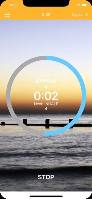 Pranayama Breathing Yoga Timer(圖2)-速報App