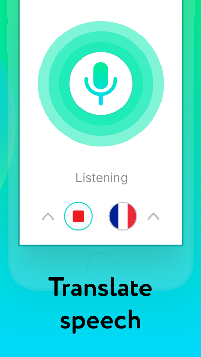 Mate – 103 language translator Screenshot 5