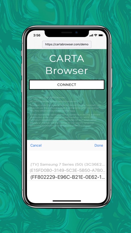 CARTA Browser