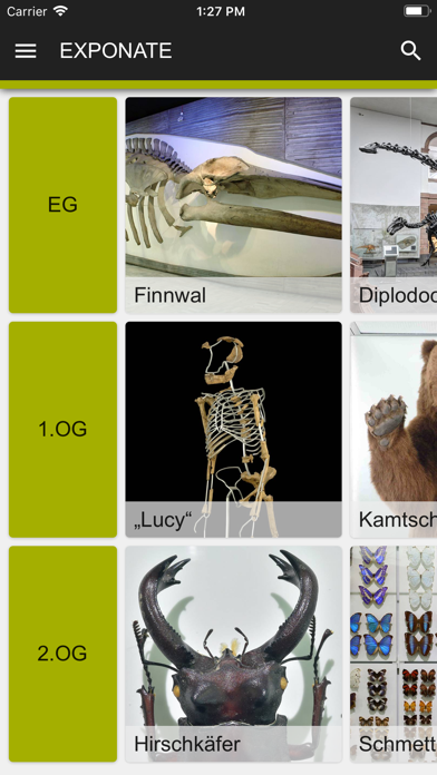 How to cancel & delete Senckenberg Naturmuseum from iphone & ipad 2