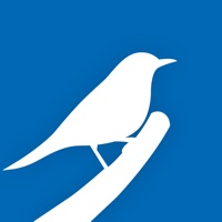 40Gartenvögel Erfahrungen und Bewertung