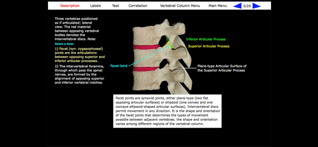 Human Skeleton: Gross Anatomy(圖2)-速報App