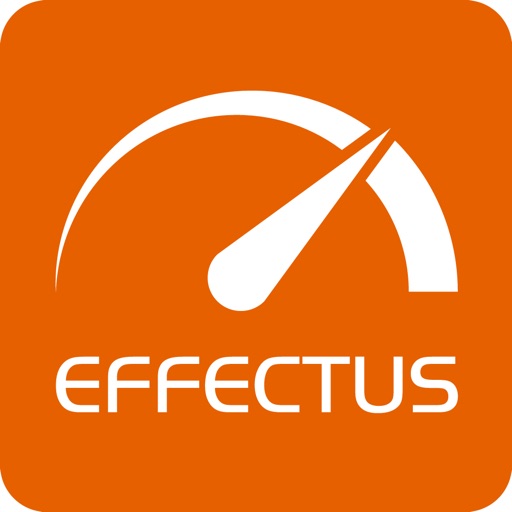 EFFECTUS LMS