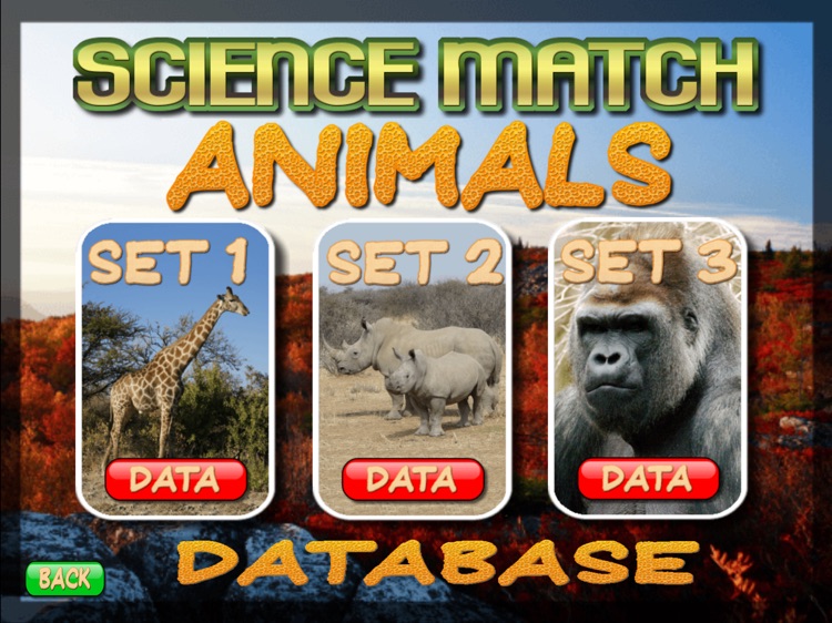 Science Match Animals