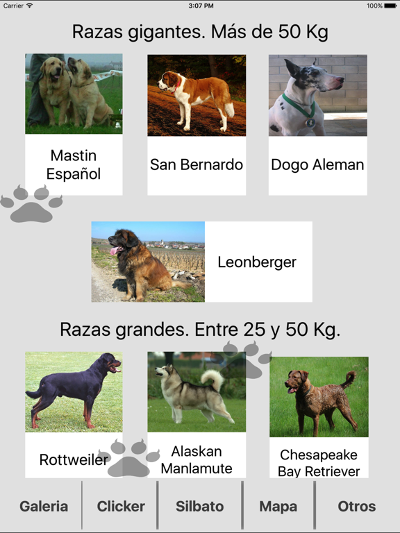 Screenshot #4 pour Dog Training