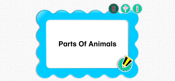 PicDic - Animals Eng-Chinese