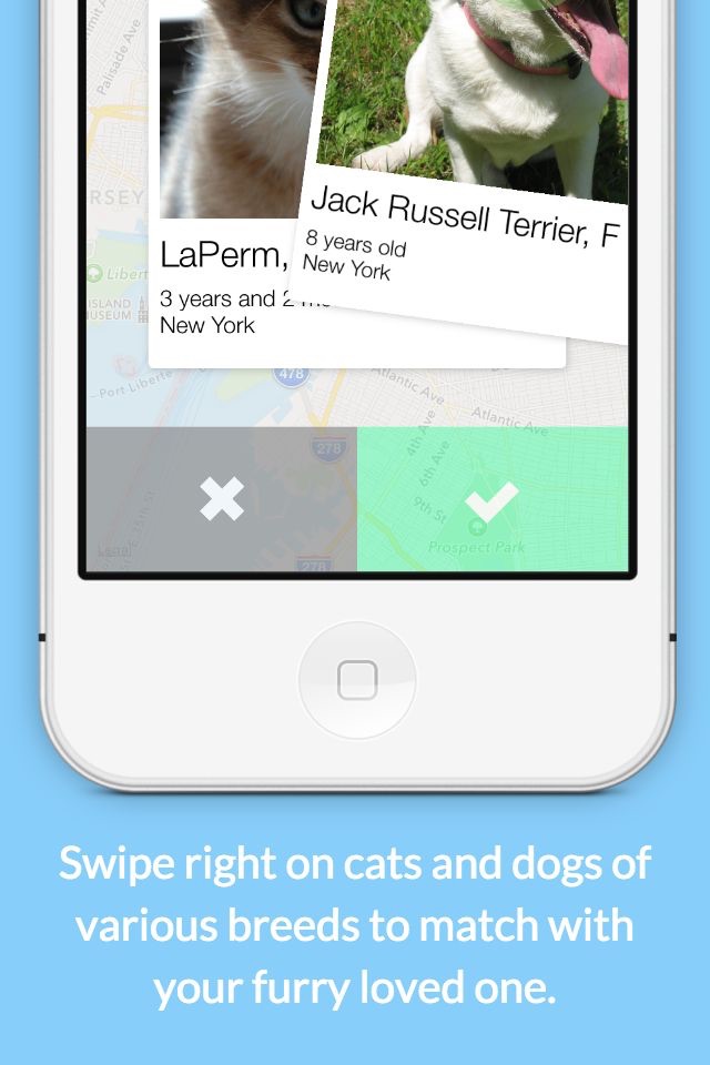 PetSwipe screenshot 2